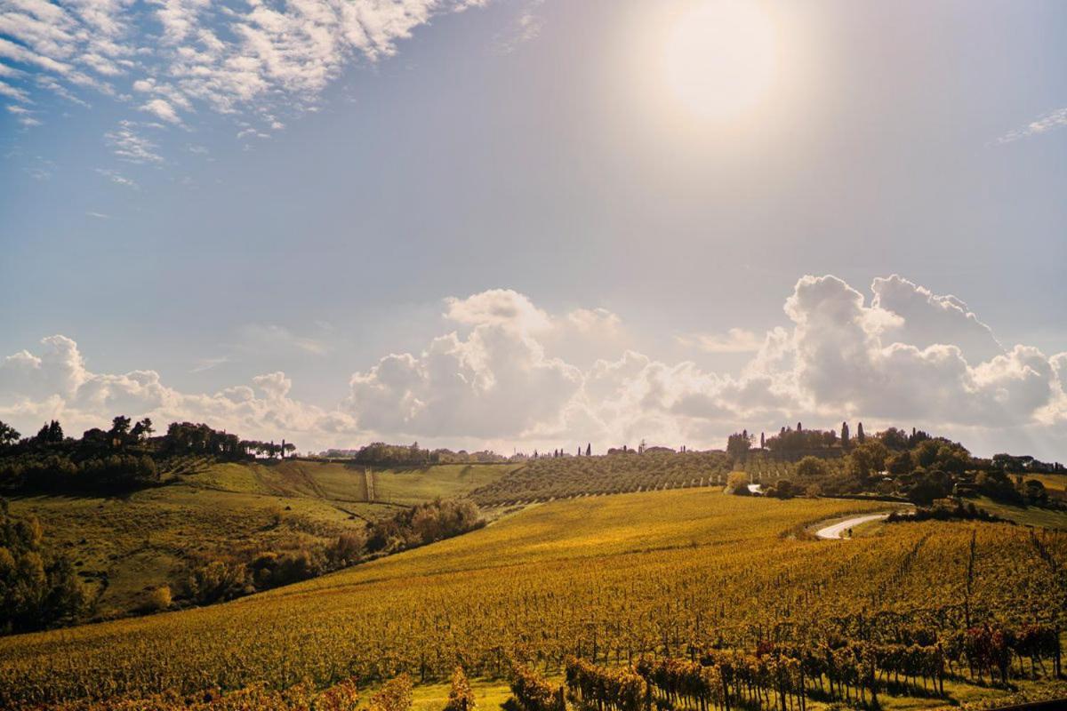 Villa Il Castagno Wine & Resort シエーナ エクステリア 写真