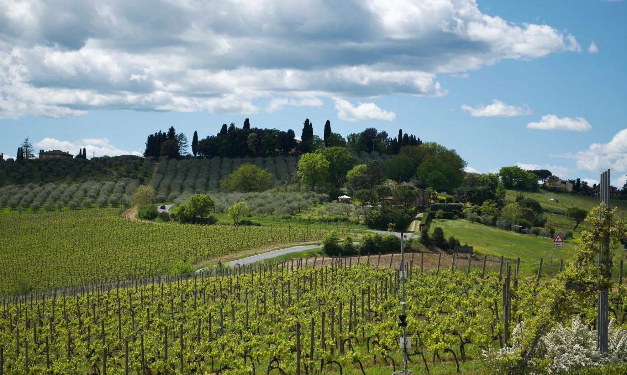 Villa Il Castagno Wine & Resort シエーナ エクステリア 写真