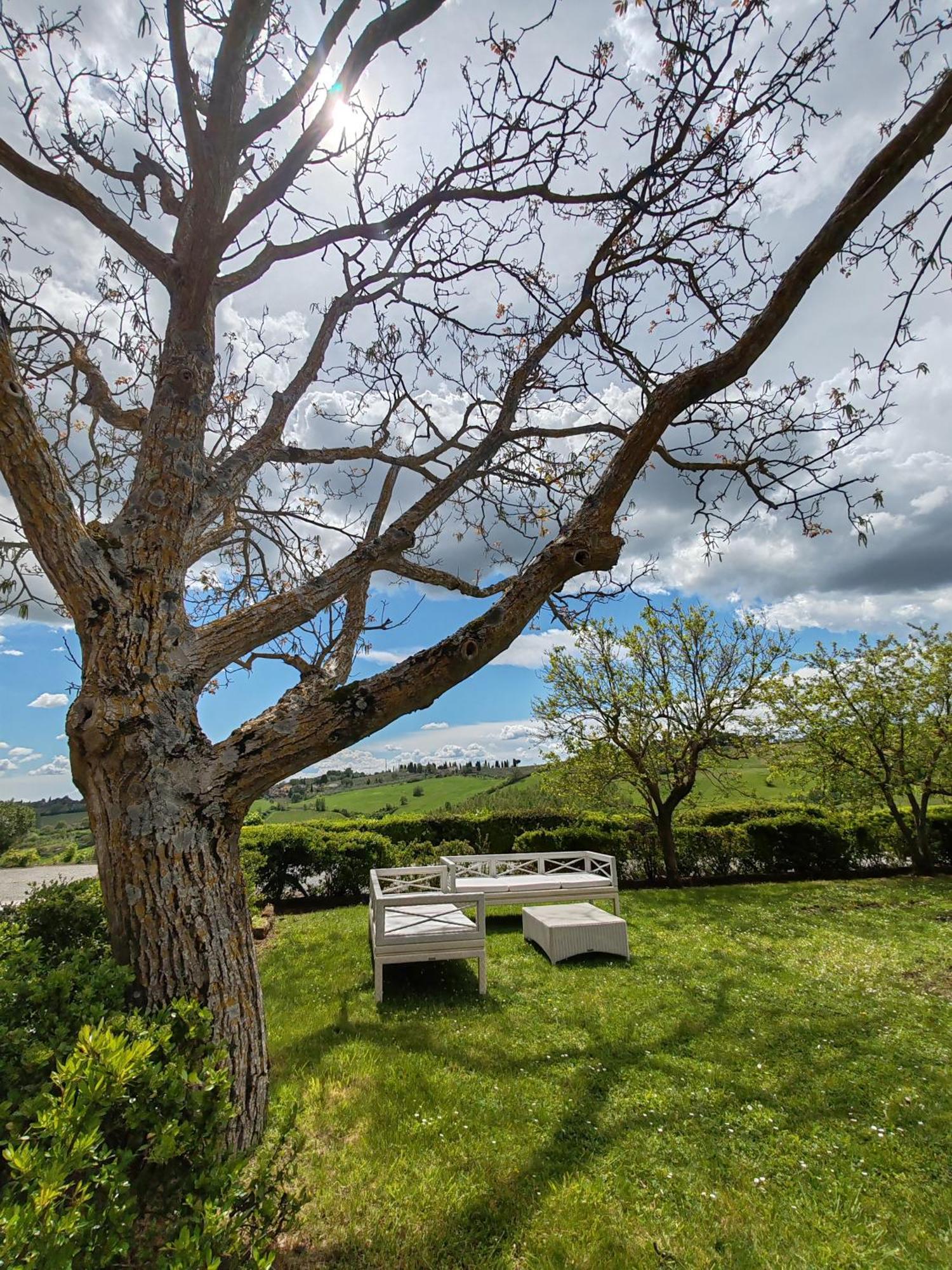 Villa Il Castagno Wine & Resort シエーナ エクステリア 写真